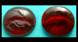Ring Stone, Carnelian, Flying Wasp, ca. 3rd Century BC - 3rd Century AD
